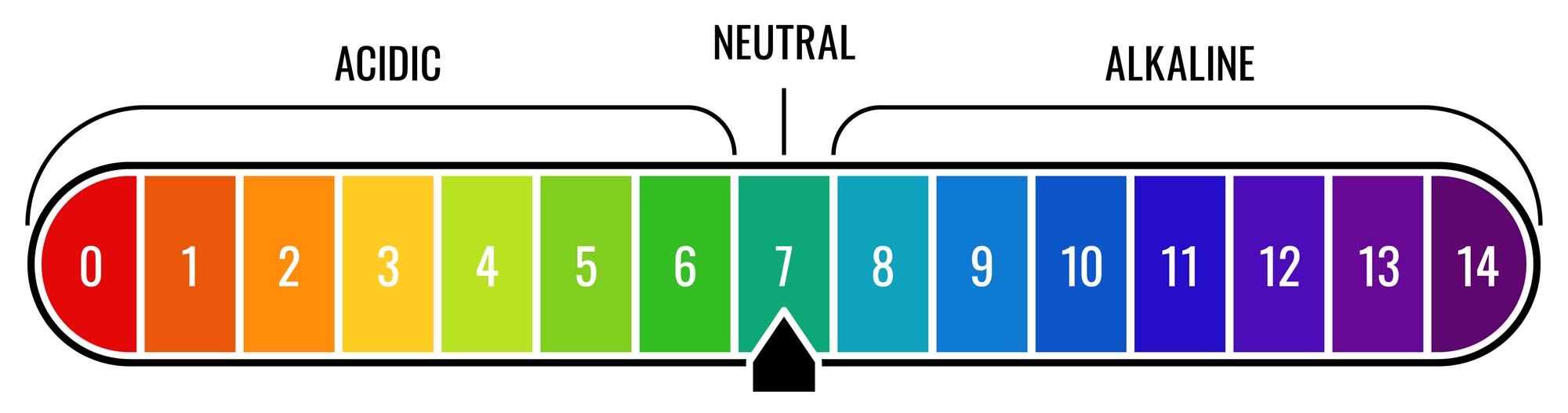 swimming pool water pH scale